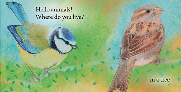 <i>Hello Animals, Where Do You Live?</i> by Loes Botman