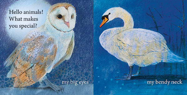 <i>Hello Animals, What Makes You Special?</i> by Loes Botman